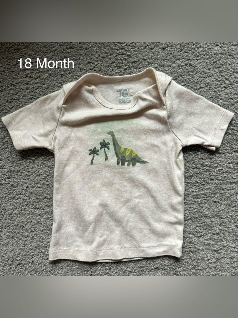 NWT & NWOT Lot of 13 Baby Clothes - Picture 6 of 7